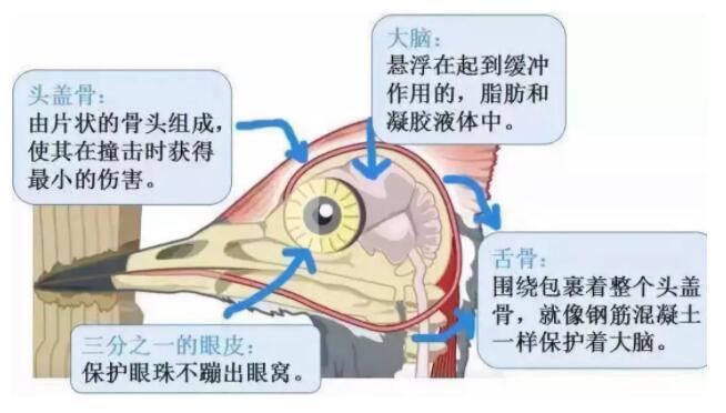 昆明安全帽，安全買冷知識你知道嗎？